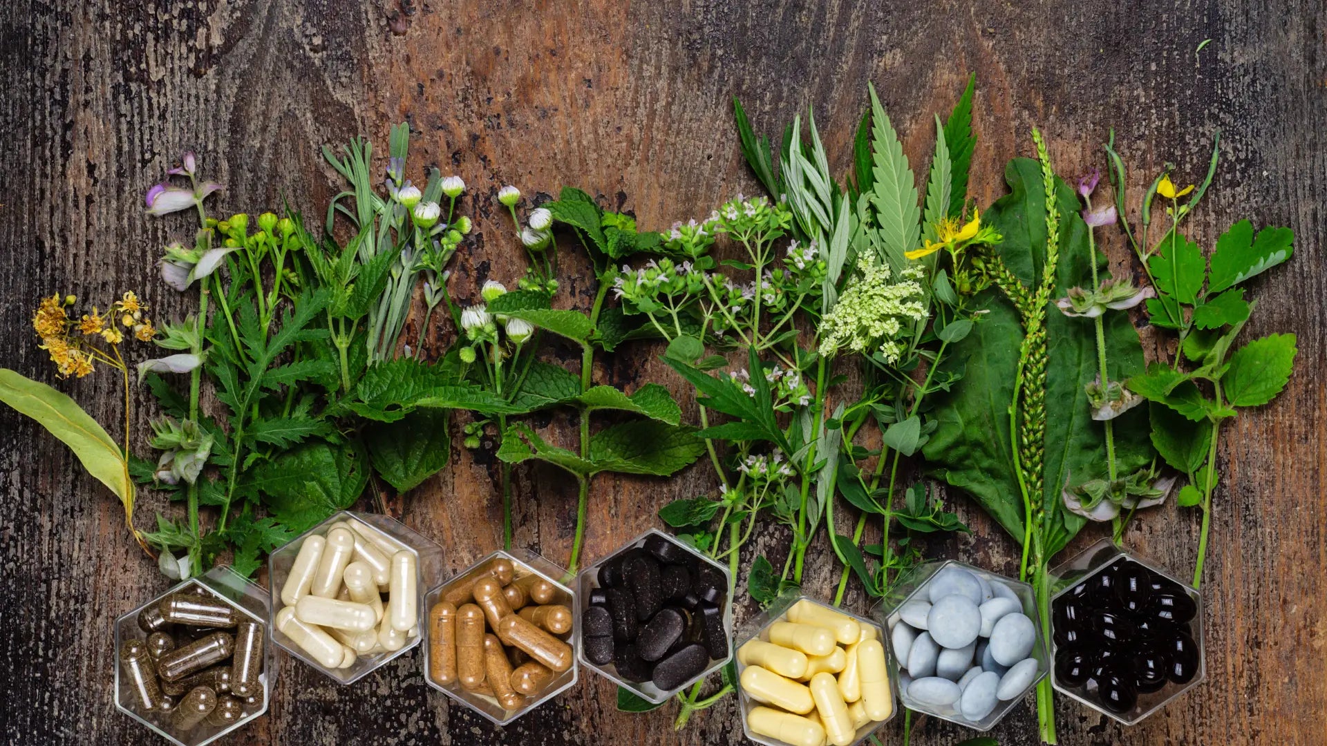 The Best Supplements to Lower Cortisol SentroLabs
