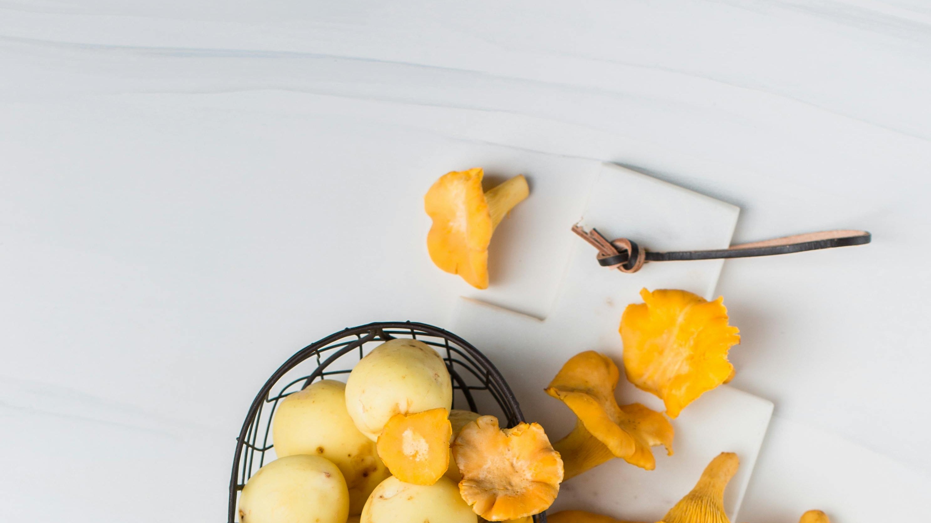 Lion’s Mane: How One Little Mushroom Can Help with Menopause