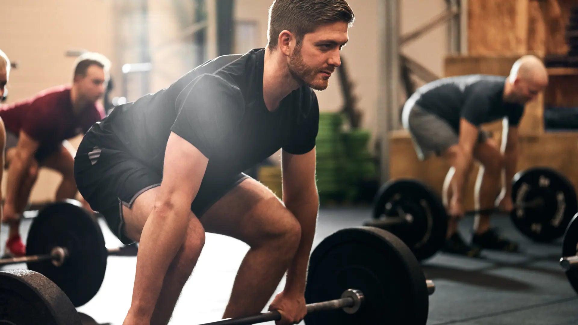 Ashwagandha and Cortisol: Exploring the Benefits, Dosage, and its Effect on Cortisol Levels SentroLabs