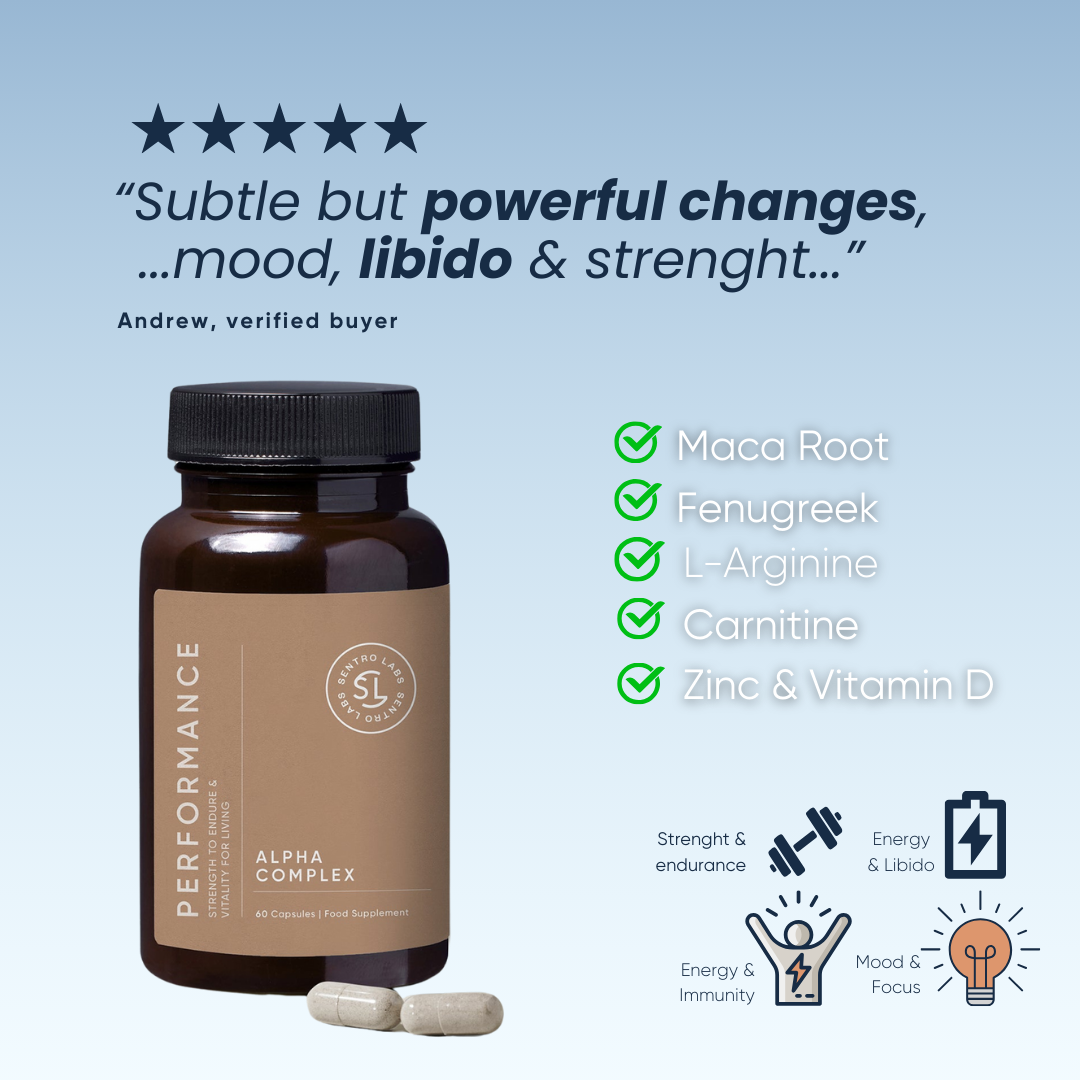 PERFORMANCE Natural Testosterone Booster
